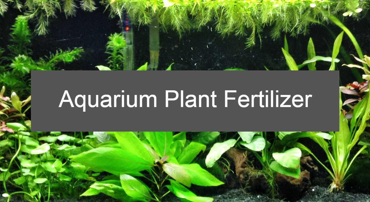 best aquarium plant fertilizer